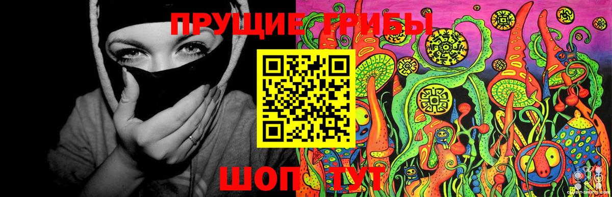 Псилоцибиновые грибы Magic Shrooms  Псилоцибиновые грибы ЛСД  Качканар  Вход с VPN 