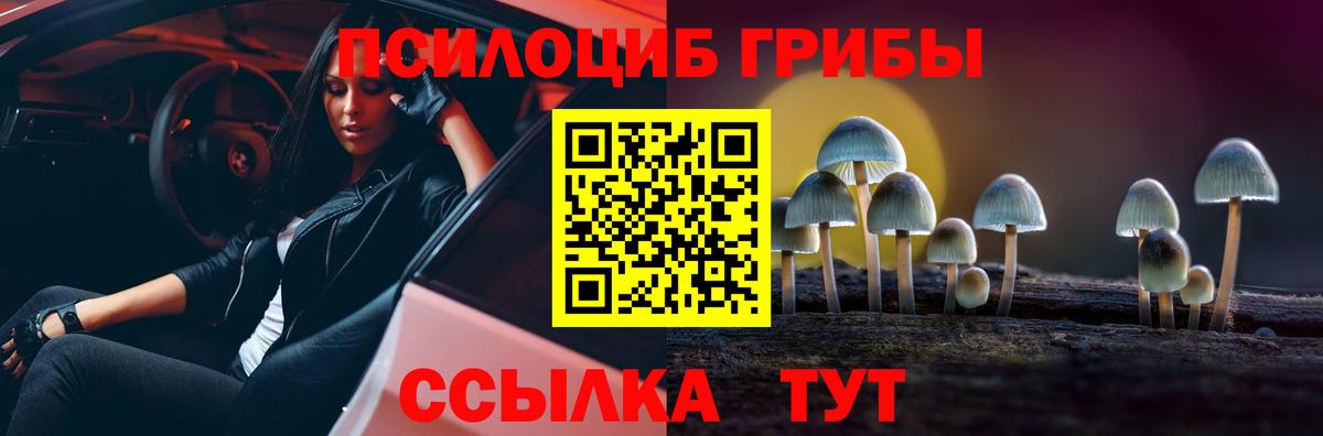 Псилоцибиновые грибы Cubensis Качканар